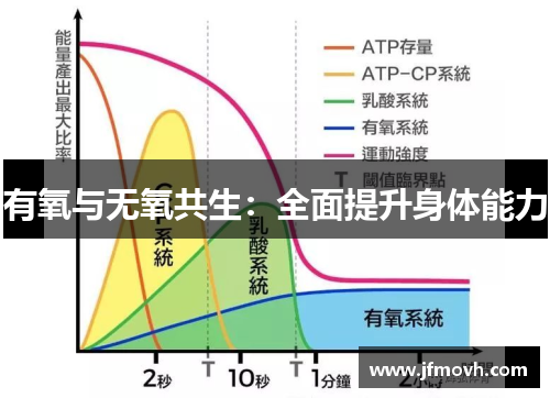 有氧与无氧共生：全面提升身体能力