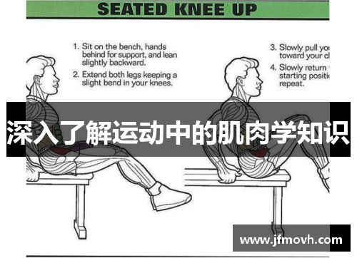 深入了解运动中的肌肉学知识