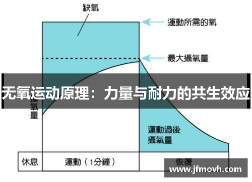 无氧运动原理：力量与耐力的共生效应